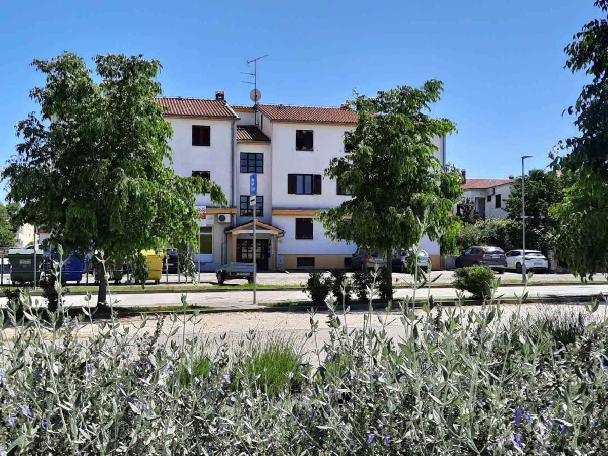 Apartment Thalassa Rovinj Ngoại thất bức ảnh